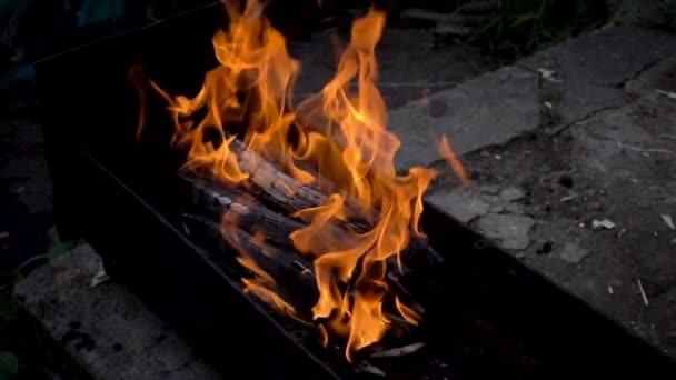 Fuoco ardente, calore, luce, campeggio. Bruciatura del legno in serata — Video Stock