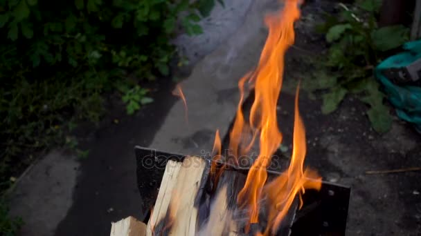 Fire burning brightly, heat, light, camping. Wood Burning in evening — Stock Video