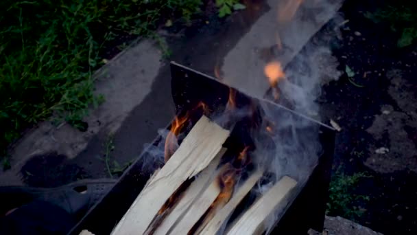 Ogień płonącego, ciepła, światła, camping. Spalanie drewna w godzinach wieczornych — Wideo stockowe
