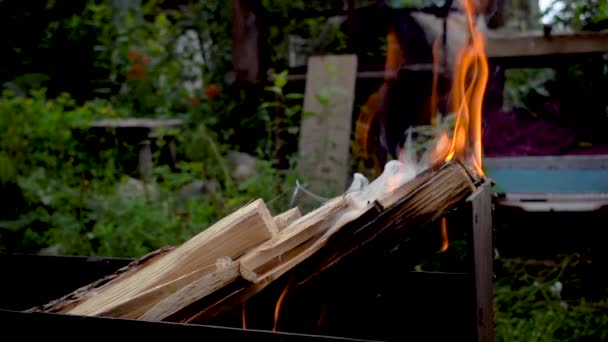 Vuur branden helder, warmte, licht, camping. Hout branden in avond — Stockvideo