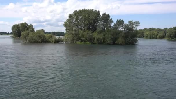 Utsikt över floden Irtysj, molnen på den blå himlen och träden. Floden Irtysj är en flod i Ryssland, Kina och Kazakstan. — Stockvideo