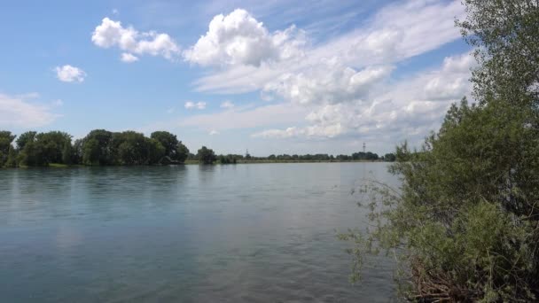 Utsikt över floden Irtysj, molnen på den blå himlen och träden. Floden Irtysj är en flod i Ryssland, Kina och Kazakstan. — Stockvideo