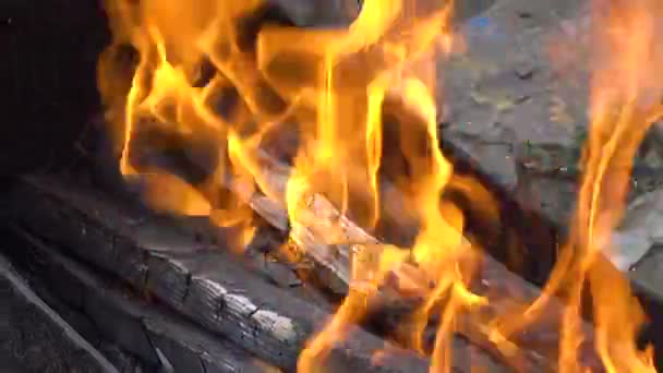 Carboni ardenti nel braciere per barbecue . — Video Stock