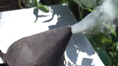 Arılar sakin ve bal elde üfleyiciler duman.