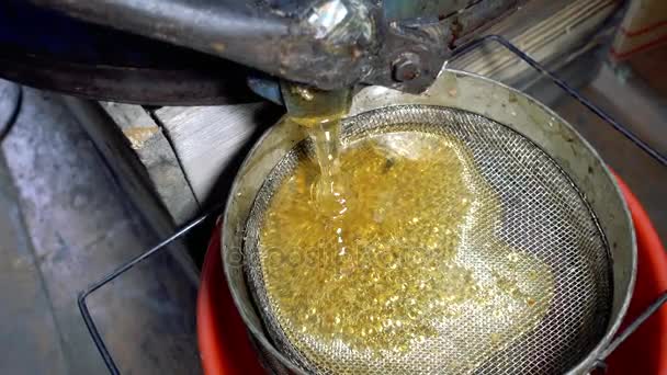 Gros plan d'un filtreur à miel extrayant et filtrant du miel cru . — Video