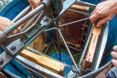 Bal tarak ile mavi kullanışlı santrifüj Extractor