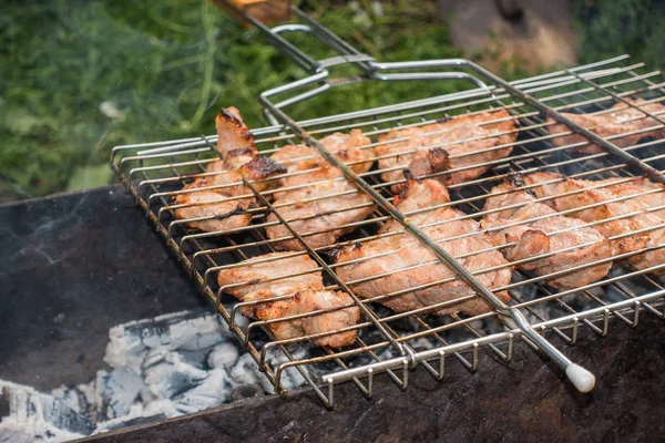 Churrasco de carne sobre os grelha deliciosos pedaços de grelhado — Fotografia de Stock