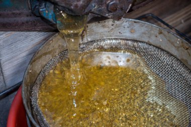 Strain the poured honey through a sieve. Filtering raw honey. Honey pouring through a sieve from honey extractor clipart