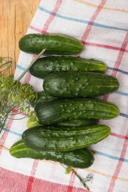 Taze yeşil salatalık ve mutfak ekose havlu üzerine dereotu.