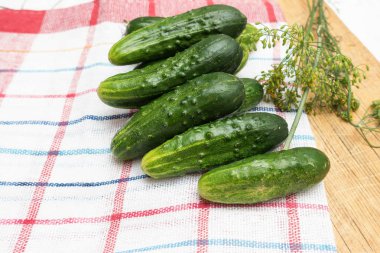 Taze yeşil salatalık ve mutfak ekose havlu üzerine dereotu.