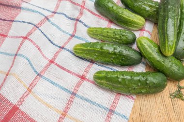 Taze yeşil salatalık ve mutfak ekose havlu üzerine dereotu.