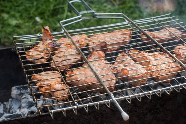 Churrasco de carne sobre os grelha deliciosos pedaços de grelhado — Fotografia de Stock