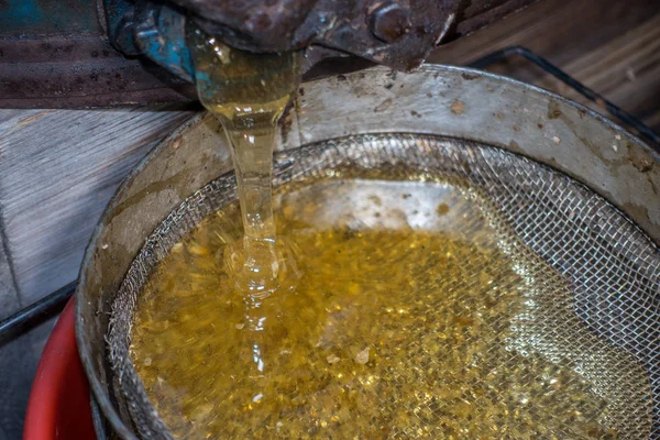 Strain the poured honey through a sieve. Filtering raw honey. Honey pouring through a sieve from honey extractor — Stock Photo, Image