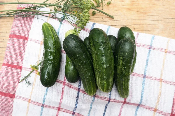 Taze yeşil salatalık ve mutfak ekose havlu üzerine dereotu.