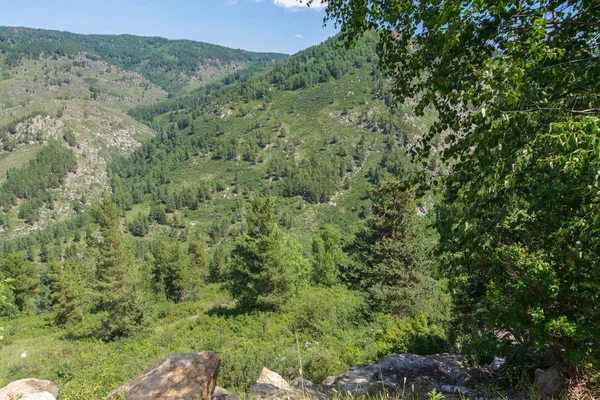 Doğu Kazakistan ormanda dağlarla görünümünü