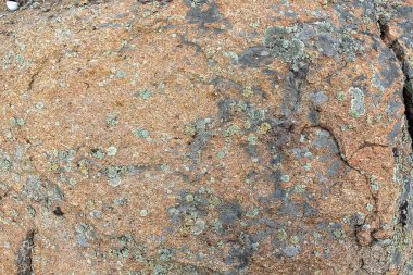 Granit taş yosun arka plan ile. Taş yüzeyi arka. Sabit taş İşleme dokulu.