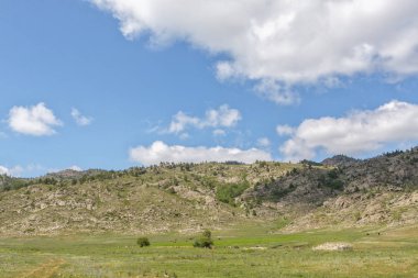 Güzel yaz manzara ile wildgrass yüksek dağlar zemin karşı dağlarda bir çayır ve mavi gökyüzü bulutlu