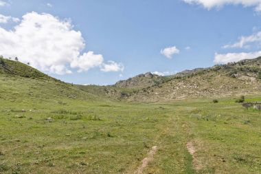 Güzel yaz manzara ile wildgrass yüksek dağlar zemin karşı dağlarda bir çayır ve mavi gökyüzü bulutlu