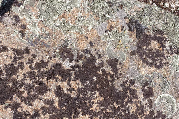 Granite rock with moss background. Background of stone surface. Textured processing hard stone.
