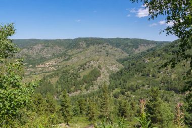 Doğu Kazakistan ormanda dağlarla görünümünü