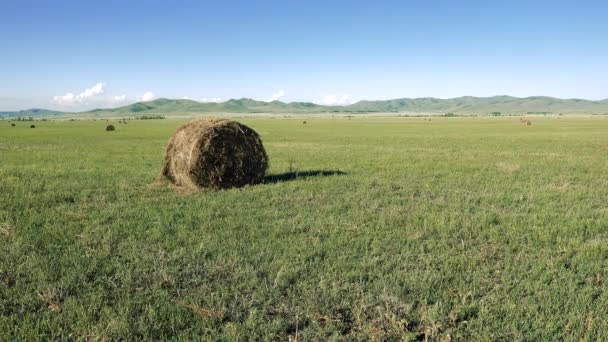 Po sklizni některé balíky slámy stojí na zemědělský pozemek. — Stock video