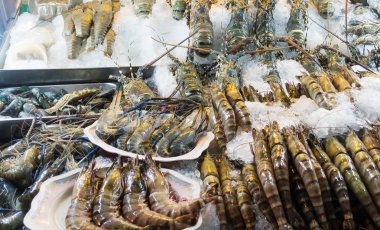 Buzda donmuş taze çiğ karides görünümünü