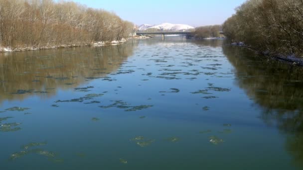 Lastre di ghiaccio ghiacciate che galleggiano lungo il fiume — Video Stock