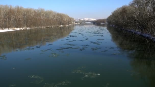 Lastre di ghiaccio ghiacciate che galleggiano lungo il fiume — Video Stock