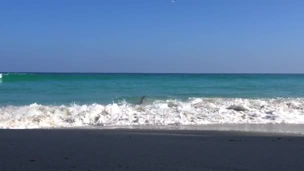 Oceano paesaggio marino al largo di Koh Samui, Thailandia con onda che si schianta sulla riva sabbiosa — Video Stock