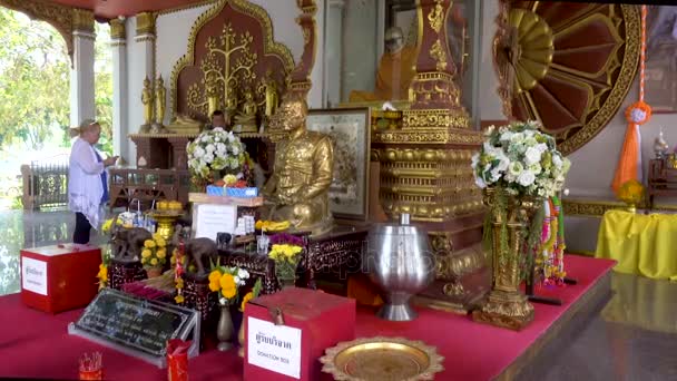 KOH SAMUI, THAILAND - 13 de dezembro de 2017: Múmia de um monge budista Luang Pho Daeng em um templo Wat Khunaram em Koh Samui . — Vídeo de Stock