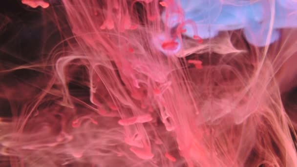 Beautiful abstract background of colored ink in water. — Stock video