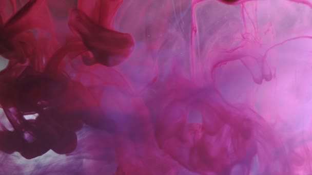 Prachtige abstracte achtergrond van gekleurde inkt in water. — Stockvideo