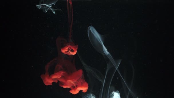 Красивий абстрактний фон з кольорового чорнила у воді . — стокове відео