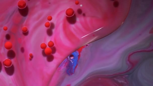 Beautiful combination of paint and ink in milk and oil. — Stock Video