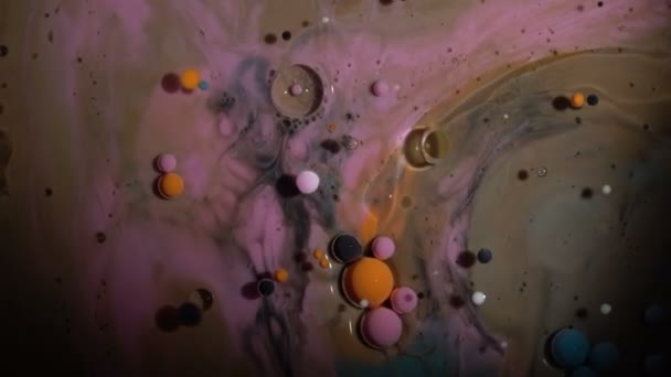 Beautiful combination of paint and ink in milk and oil. — Stock Video