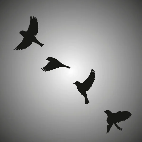 Vektor silhuett flygande fåglar på vit bakgrund. Tatuering — Stock vektor