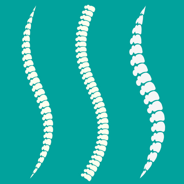 Значок вектора позвоночника. Символ диагностики позвоночника и терапии. Комплект позвоночника
