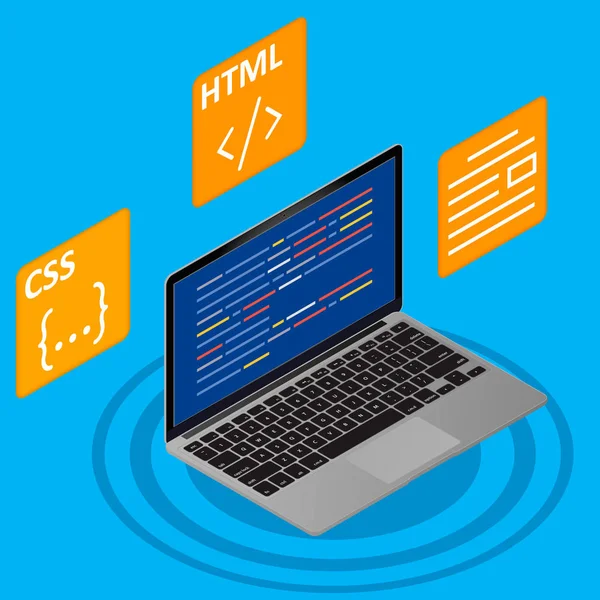 Programmer concept banner. Can use for web banner, infographics, images. Flat isometric vector illustration isolated on blue background. — Stock Vector