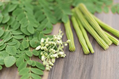 Moringa leave and flowers clipart