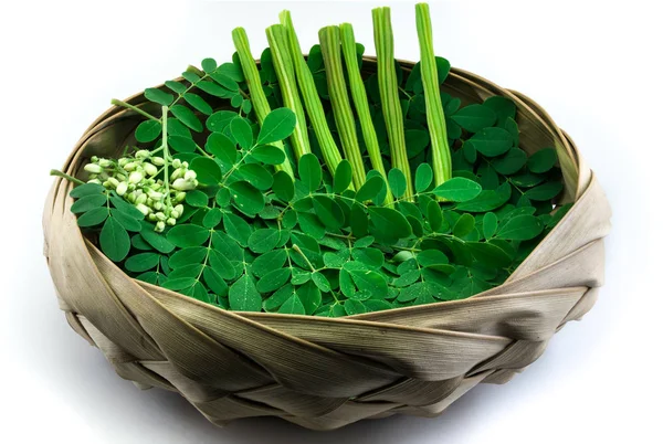 Moringa yaprakları ve çiçekleri