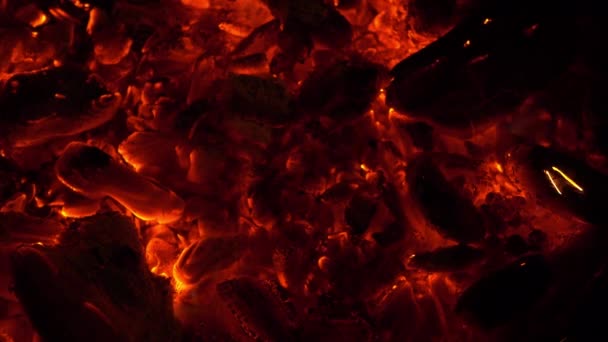 热煤。火。背景. — 图库视频影像