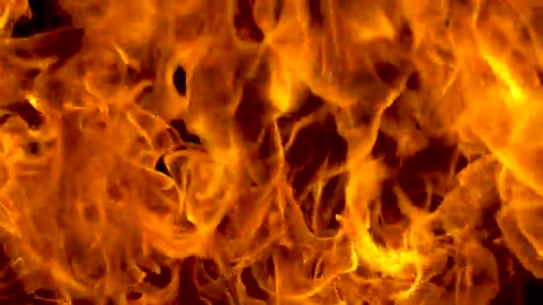 Flame. Fire. Background. Slow motion — Stock Video