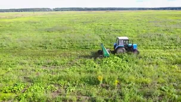 Vogelvlucht Trekker Veld Maait Gras Copter — Stockvideo