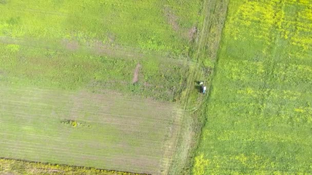 Vista Panorâmica Pássaros Trator Campo Corta Grama Copter — Vídeo de Stock