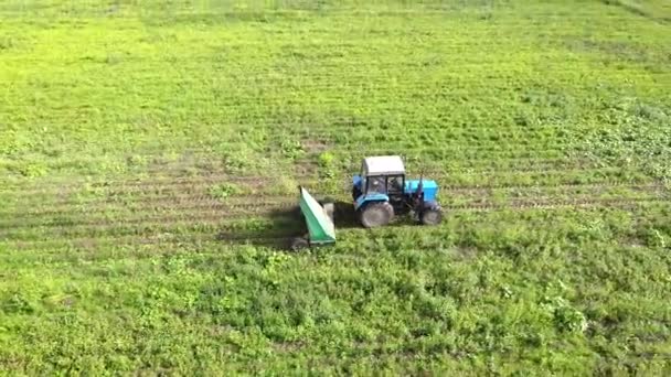 鸟瞰图 拖拉机在田间割草 直升机 — 图库视频影像