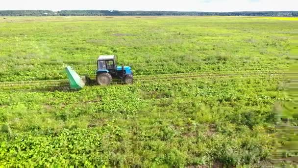 Fågelperspektiv Traktor Fältet Klipper Gräs Copter — Stockvideo