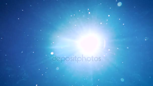 水中撮影 太陽の光は 水を通過します — ストック動画