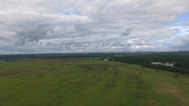 Hardal çiçek alanları kuşbakışı. Helikopter. Dron. Hareket. Nehir akışı.