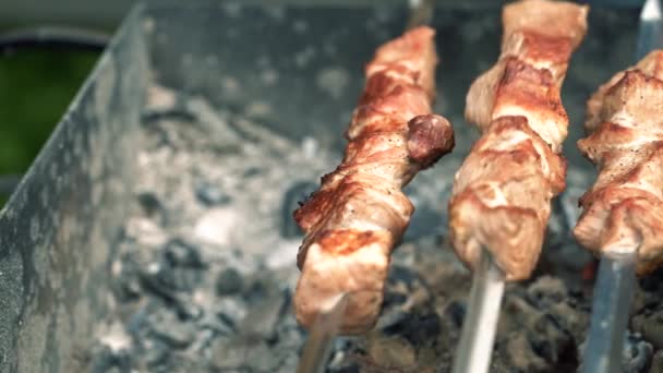 Barbacoa Aire Libre Preparación Carne Parrilla — Vídeos de Stock