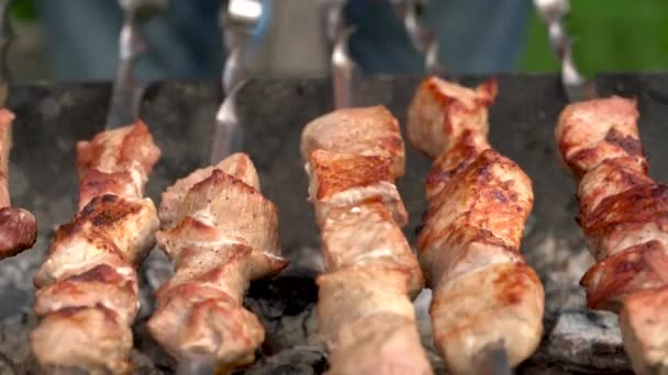 Barbacoa Aire Libre Preparación Carne Parrilla — Vídeos de Stock